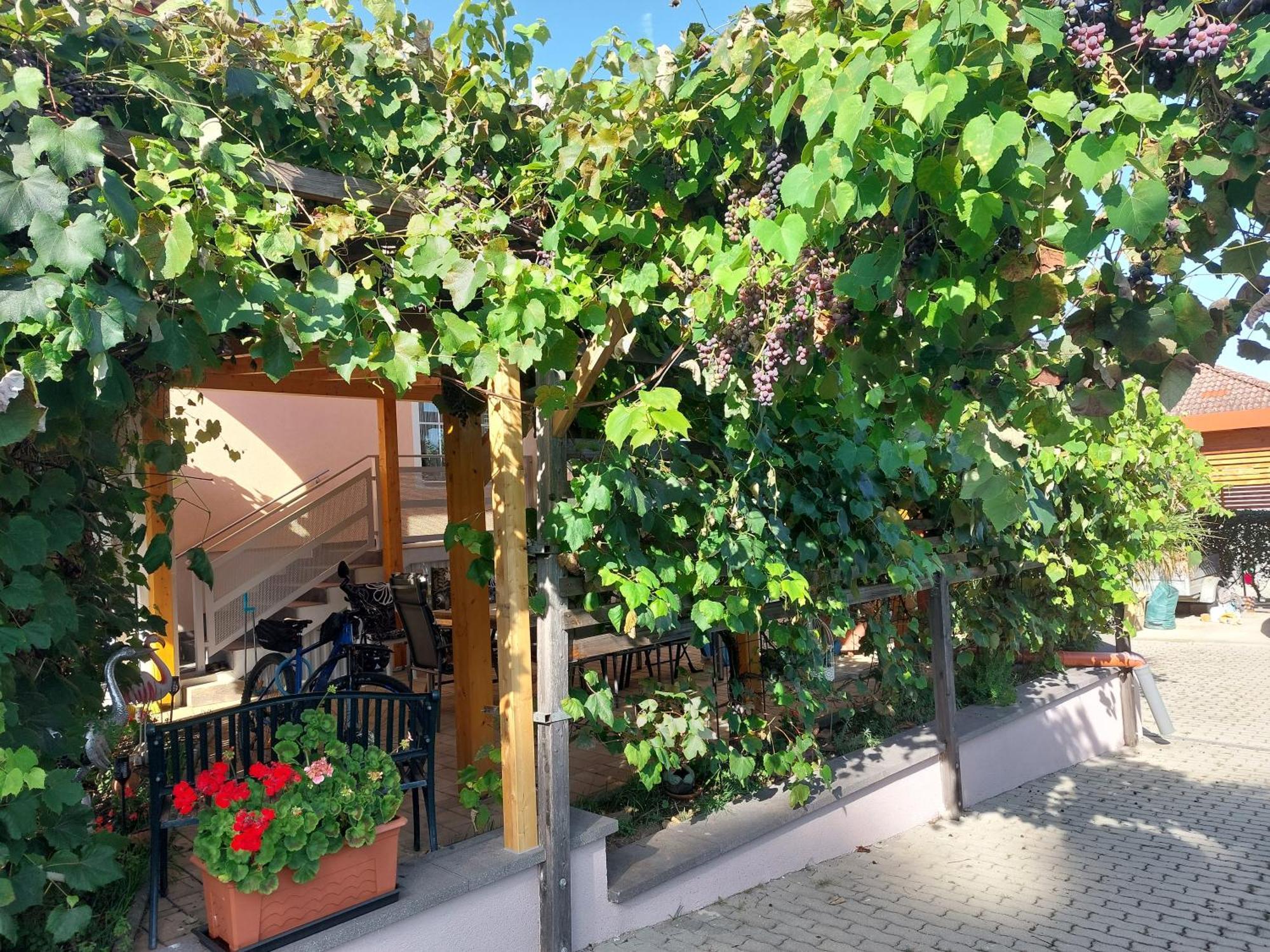 Ferienwohnung Gerti Pinkafeld Esterno foto