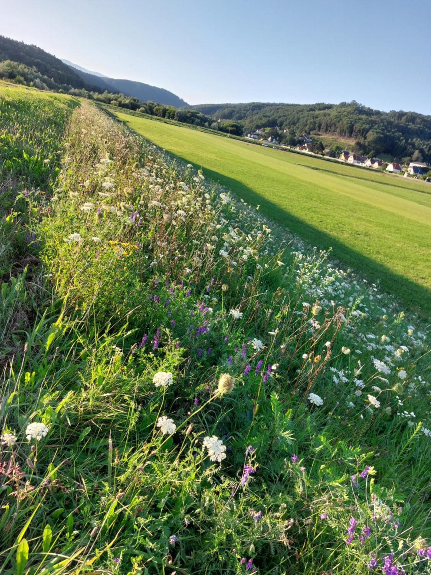 Ferienwohnung Gerti Pinkafeld Esterno foto